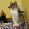 Отзыв от Маргарита Леонтьева